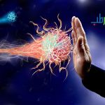 سیستم ایمنی بدن