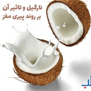 نارگیل روند پیری مغز را کند می‌کند