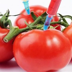 محصولات ترا ریخته تولیدشده